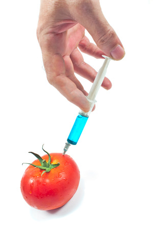 Injection for a genetically modified tomatoes isolatedの写真素材