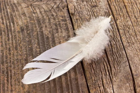White feather on old wooden backgroundの写真素材