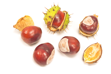 Chestnuts isolated on white backgroundの写真素材