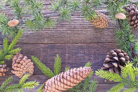 Merry Christmas frame with pine tree needles and cones on white