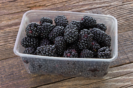 Blackberry fruit in plastic bowl on wooden backgroundの写真素材