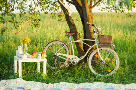 Bicycle with picnic set and decoration in shadow under the green tree in summer dayの写真素材