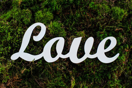 White wooden inscription forming word love  written on nature backgroundの写真素材