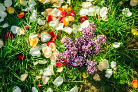 lilac flowers like decorations for the wedding ceremony are on the grass with petalsの写真素材