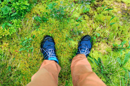Legs of traveler standing on a green moss in travel.の写真素材