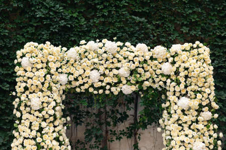Beautiful composition of hydrangea on wedding ceremony archの写真素材