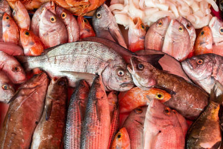 Fresh fish on Sale in Open Air Market Food Stalls in Harbor of Essaouira, Morocco