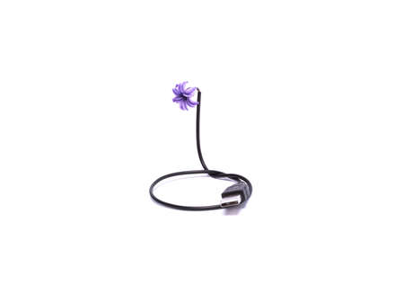 Black usb cable with purple hyacinth on the top. Creative concept.