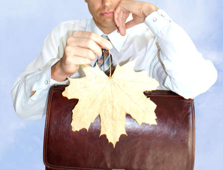 finance crisis similar autumn dry  leaf fall upon modern businessの写真素材