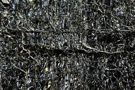 Abstract structure mint of a metal foil for your textの写真素材