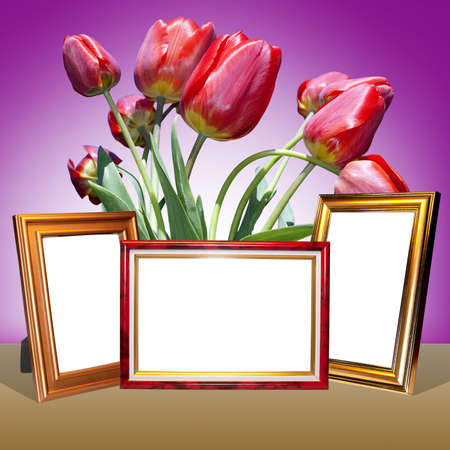 Holidays background from red spring tulips and frame photo