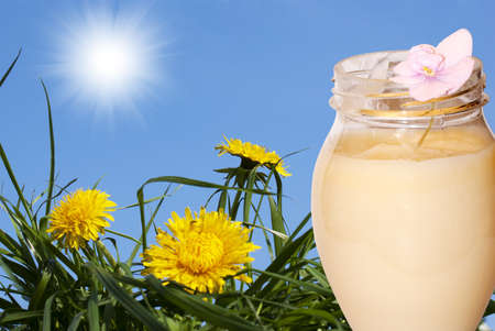 Female balm on the basis of natural vegetative grasses and flowers for care of hairの写真素材