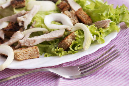 Creative salad from fresh vegetables with meat of a hen and fried breadの写真素材