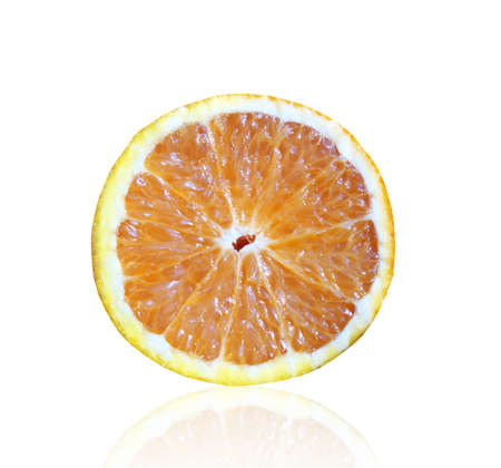 The orangeの写真素材