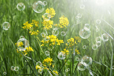 Spring solar nature backgroundの写真素材