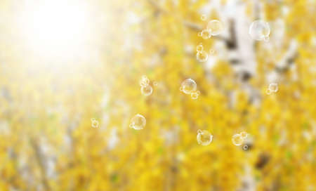 Autumn nature  background