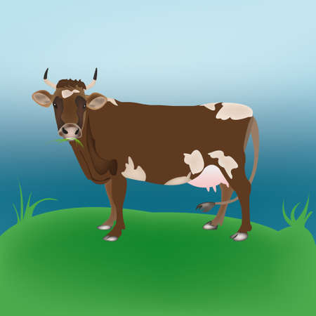 Cow over spring green meadow のイラスト素材