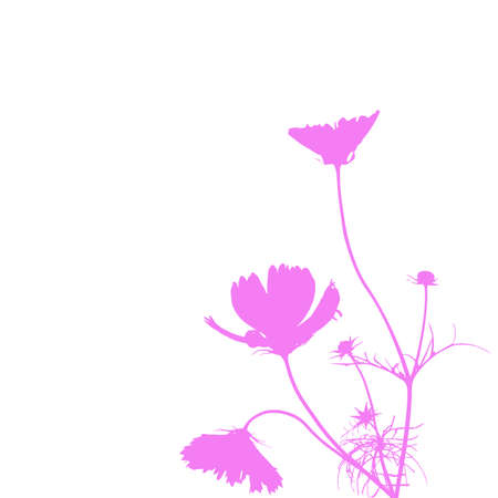 Abstract pink flower on a white backgroundの写真素材