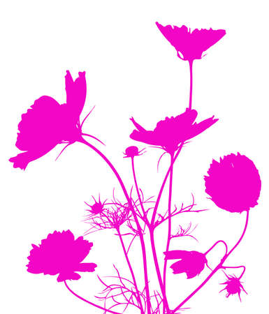 Abstract pink beautiful flower on a white backgroundの写真素材