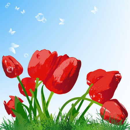 Beautiful red tulip on a green grass Vectorのイラスト素材
