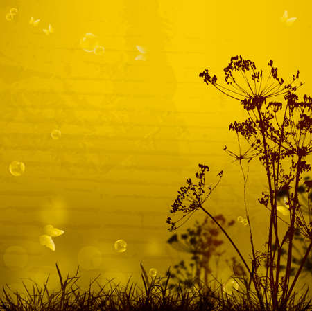 Autumn Nature season Abstract backgroundの写真素材