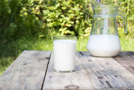 The rural  fresh milk in summer gardenの写真素材