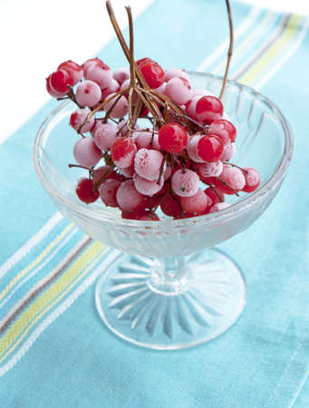 The ice viburnumの写真素材