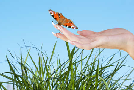 Spring beautiful nature backgroundの写真素材