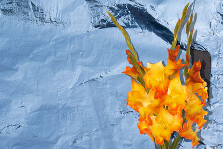 Gladiolus Floral backgroundの写真素材