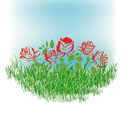 Flowers red roses.Vectorのイラスト素材