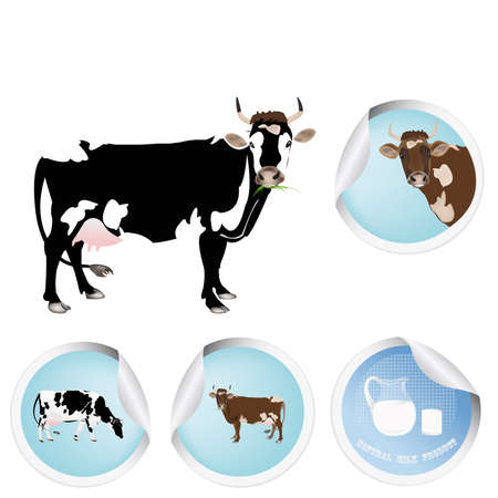 Milk.Cow.Fresh dairy bio productのイラスト素材