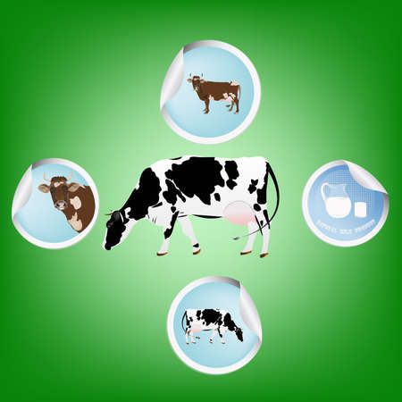 Cow.Farming dairy product.Fresh milkのイラスト素材