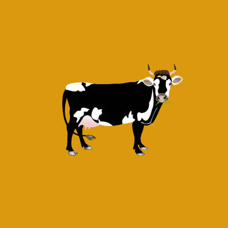 Cow.Farming dairy product.Fresh milkのイラスト素材