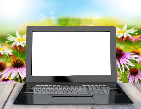 New modern laptop closeup on summer nature backgroundの写真素材