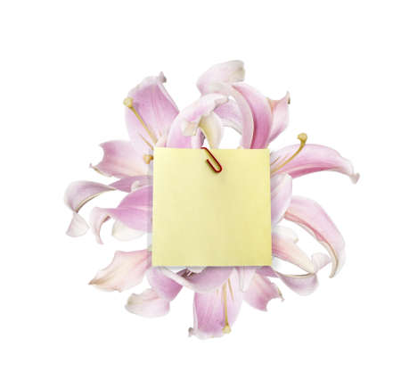 A piece of paper to post on a bouquet of pink lilies with a place to place your textの写真素材