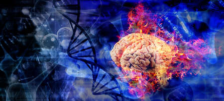 Learning human brain conceptの写真素材