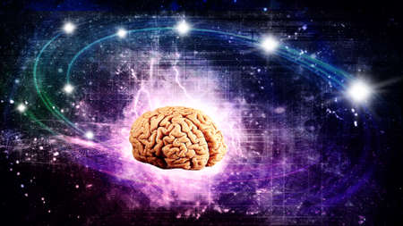 Scientific brain witch creative ideasの写真素材