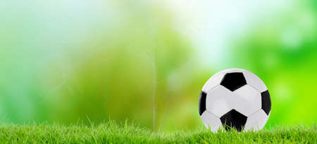 Football conceptの写真素材