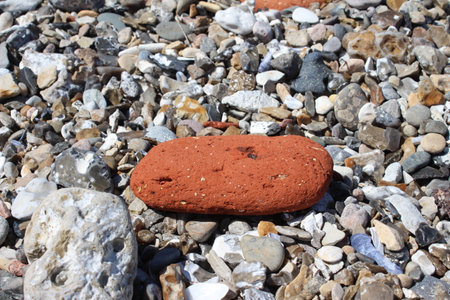 Gray fine sand is everywhere. Smooth multicolored stones of different sizes and shapes. Starfish stayed onshore. The dog walks on the wet sand. Nature gives its artistic contribution to beauty. Sea.の写真素材