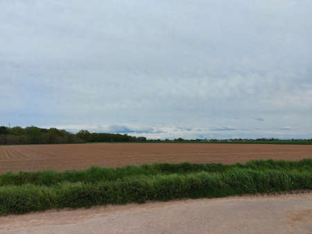 All roads lead somewhere. The field road stretches through the fields. The rural road between...