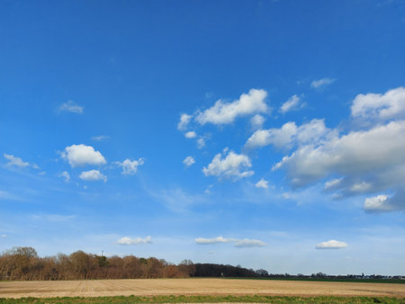 Nature in the field in different seasons. Spring, summer, autumn, and winter on the meadow. This is where sowing, harvesting, plowing the land, fertilizing... A space for walking with dogs.の写真素材