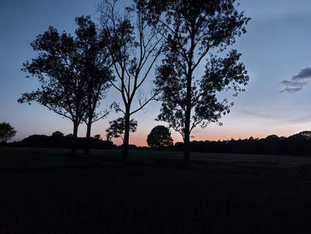 The sunsets in the west with redness. The moon appears in the sky above the meadow. The forest turns...