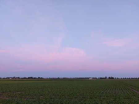 Sunset followed by colorful clouds. The sky above the sleeping fields and trees. Nature paints the...