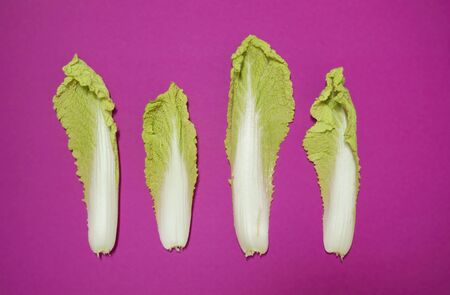 Leaf Beijing cabbage on purple background