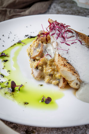 Volga pikeperch with yellow millet risotto. Fried pikeperch, millet, Parmesan cheese, mushrooms, wine, cheese and cream sauceの写真素材