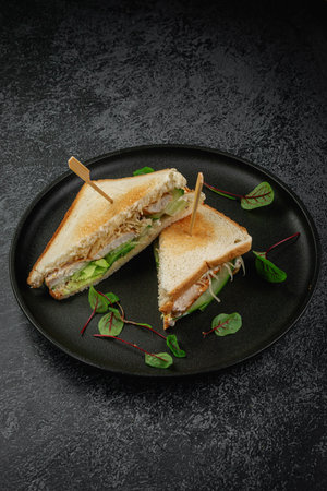 Sandwich with chicken meat, sauce, lettuce leavesの写真素材