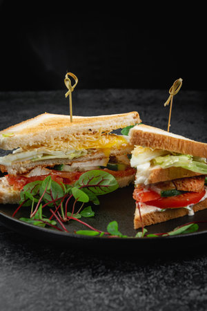 Sandwich with chicken meat, sauce, lettuce leavesの写真素材