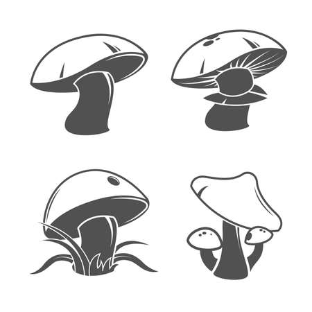 Collection of mushrooms.のイラスト素材