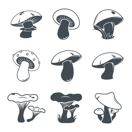 Vector illustration with mushrooms: shiitake, chanterelle, honey in sketch style on white background. Fresh organic food. Design elements. Logo.のイラスト素材