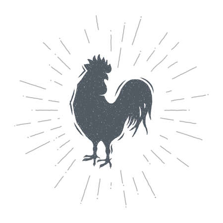 Hand drawn vintage cock. Sketch style. Vector illustration. T-shirt print. Logo element. Chicken.のイラスト素材